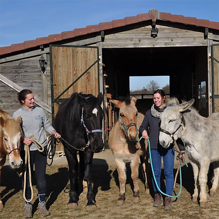 La ferme de Barnabée à Champagne-sur-Vingeanne